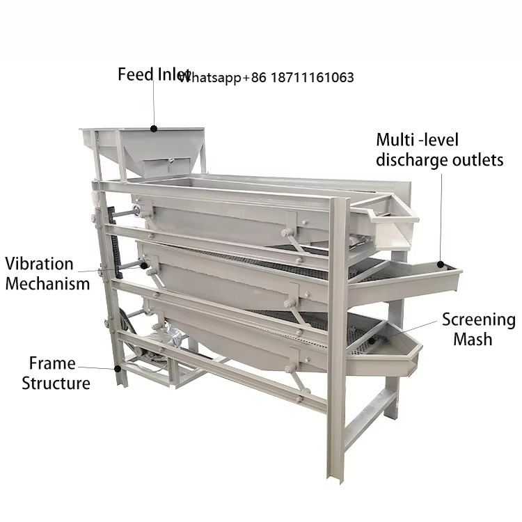 Dried Fruit - China Manufacture Dried Fruit Bean Seed