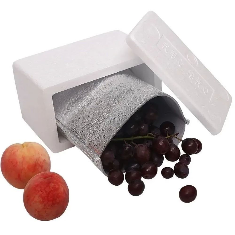 Aluminum Foil Cooler Bag Insul - Food Snacks Delivery 评论和价格