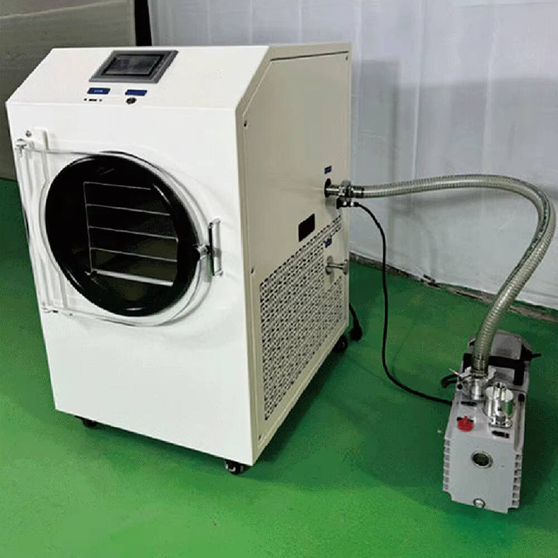 Multi‑Functional Household Vac - Dried Fruit 评论和价格